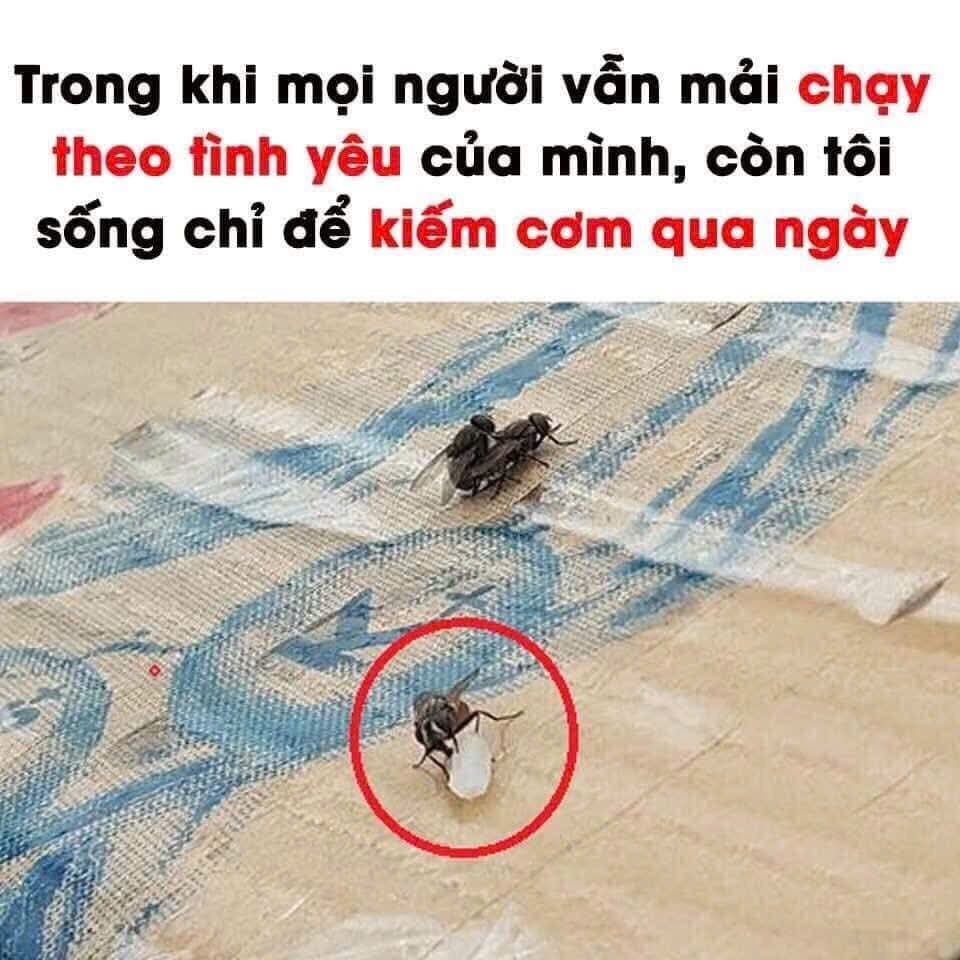 Sống chỉ để kiếm cơm qua ngày