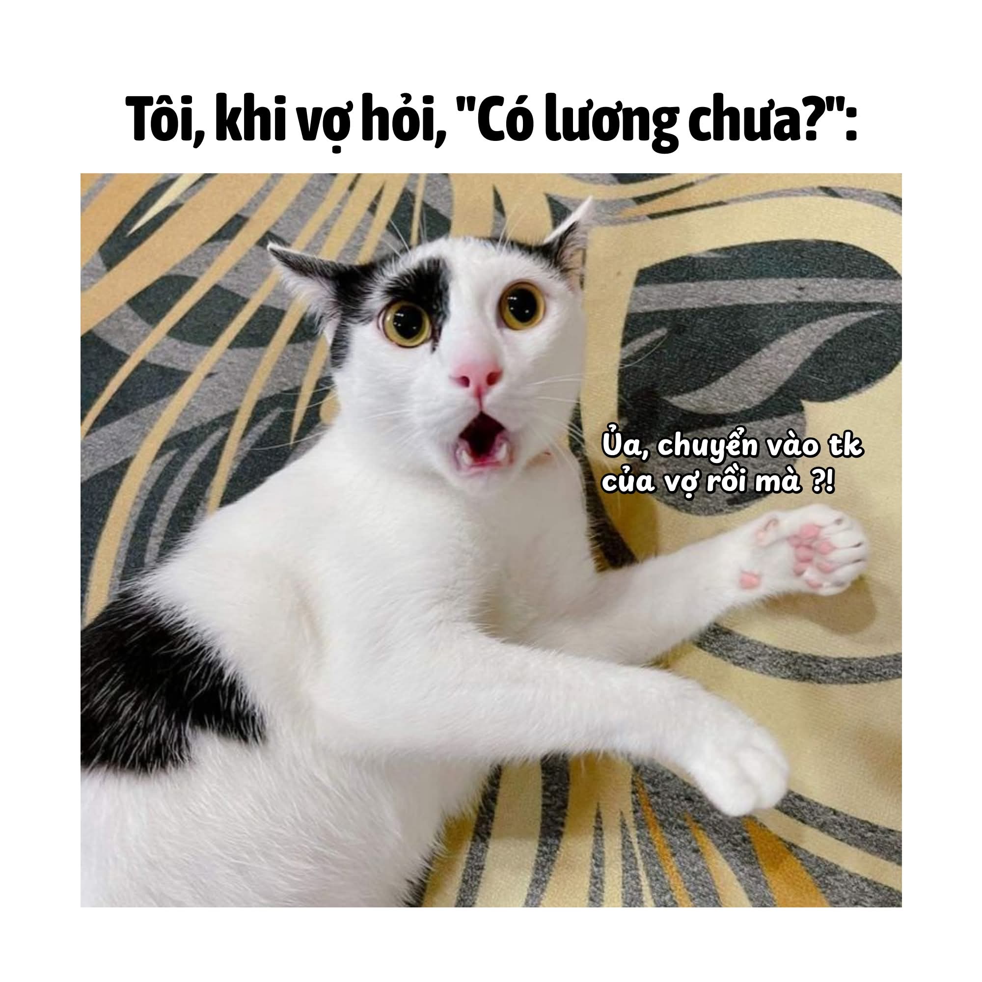 Ủa, vắt hết rồi, còn đâu nữa mà hỏi