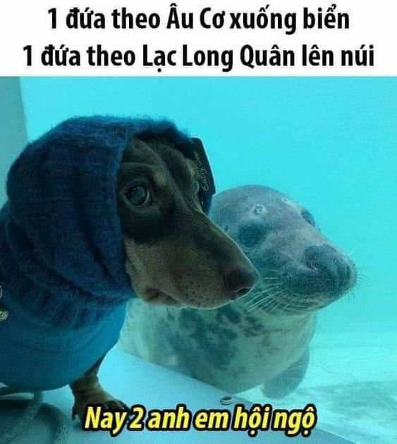 Có vẻ là anh em thất lạc lâu năm thì phải?