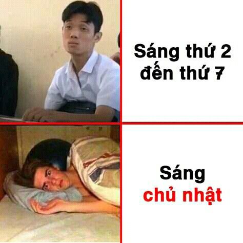Không thể hiểu được tại sao lại vậy