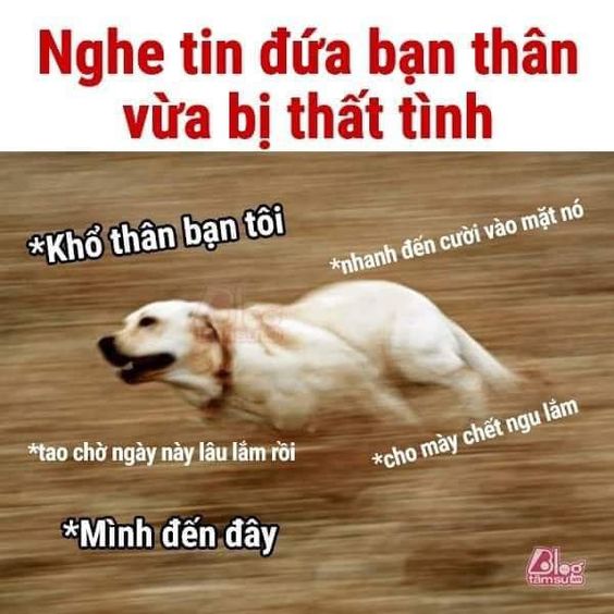 Hảo bạn thân